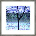 Cold Vibes Of Winter Framed Print