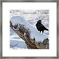 Cold Winter Framed Print