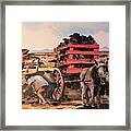 Collecting Turf Framed Print