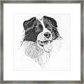 Collie Dots Framed Print