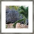 Colobus Monkey Resting On A Wall Framed Print
