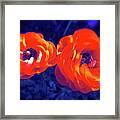 Color 12 Framed Print