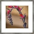 Color And Curve Framed Print