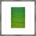Color And Lines 2 Framed Print