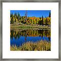 Colorado Autumn Morning Framed Print