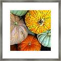 Colorful Autumn Framed Print