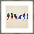 Colorful Birds Framed Print