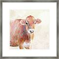 Colorful Cow Framed Print