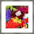 Colorful Easter Feathers Framed Print