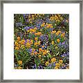 Colorful Flowers Framed Print
