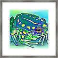 Colorful Froggy Framed Print