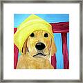 Colorful Lab Framed Print