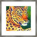 Queen Of The Jungle - Colorful Leopard Framed Print