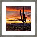 Colorful Morning To You Framed Print