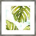 Colorful Palm Framed Print