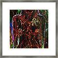 Colorful Personality Framed Print