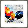 Colorful Rooster Framed Print