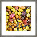 Colorful Small Tomatoes Framed Print