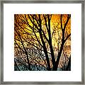 Colorful Sunset Silhouette Framed Print