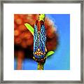 Colorful Treehopper 003 Framed Print