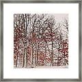Colorful Winters Day Framed Print
