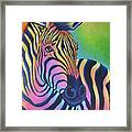 Colorful Zebra Framed Print