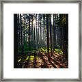 Colors Cuts And Lines Framed Print