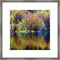 Colors Of Autumn In May Framed Print