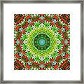 Colors Of Christmas Abstract Framed Print