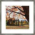 Colors Of Fall Framed Print