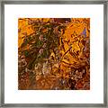 Colors Of Nature 2 Framed Print