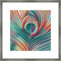 Colors Of The Rainbow Peacock Feather Framed Print