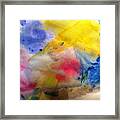Colors Of The Skies Framed Print