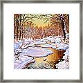 Colors Of Winter Framed Print