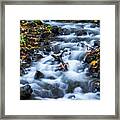 Columbia River Gorge  Stream Framed Print