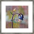 Columbine Budding Hue 2 Framed Print