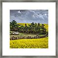 Combine By The Canola Framed Print