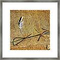 Coming Home To Mother Nature Zen Framed Print