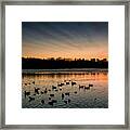 Community Pool 2 Framed Print