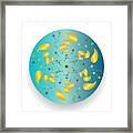 Complexical No 2213 Framed Print