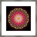 Complexical No 2217 Framed Print