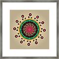 Complexical No 2220 Framed Print