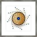 Complexical No 2326 Framed Print