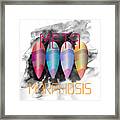 Complexical No 2329 Framed Print