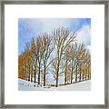 Composition With Trees Framed Print