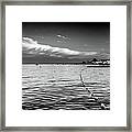 Connecticut Shore Black And White Framed Print