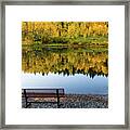 Contemplating The Colors Of A Colorado Autumn Framed Print