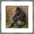 Contemplation Framed Print