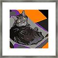 Contempo Cat Framed Print