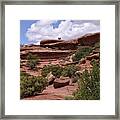 Contrasts In Nature Framed Print